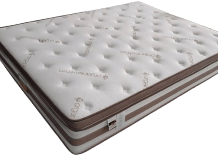 Organic Cotton Pocket Coil Mattress